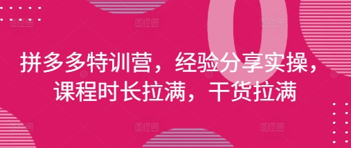拼多多特训营，经验分享实操，课程时长拉满，干货拉满(更新25年4月)-创业项目致富网、狼哥项目资源库