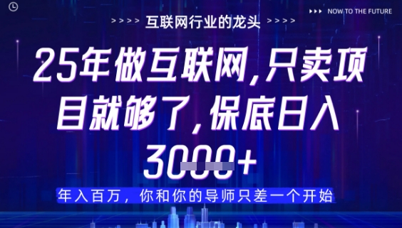 什么！25年你还在找项目做？风口早就变了，卖项目才是稳挣不赔【揭秘】-创业项目致富网、狼哥项目资源库