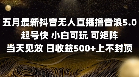 2025五月最新无人直播撸音浪单日产出5张+实操教程【揭秘】-创业项目致富网、狼哥项目资源库