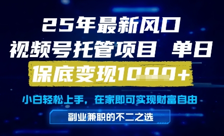 25年最新风口，视频号托管项目，单日保底变现1k+，手把手教学【揭秘】-创业项目致富网、狼哥项目资源库