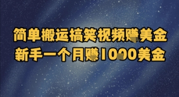 简单搬运搞笑视频挣美金，新手一个月入1k美金-创业项目致富网、狼哥项目资源库