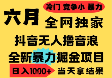 25年6月高爆抖音无人直播最新撸音浪掘金项目，小白可做，无脑日入1k+，门槛低可批量矩阵【揭秘】-创业项目致富网、狼哥项目资源库