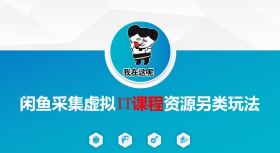 闲鱼采集虚拟IT课程资源另类玩法，干货满满-创业项目致富网、狼哥项目资源库