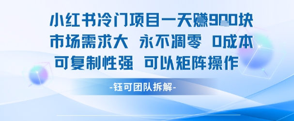 小红书冷门项目一天收益9张，市场需求大，0成本，可复制性强可以矩阵操作-创业项目致富网、狼哥项目资源库
